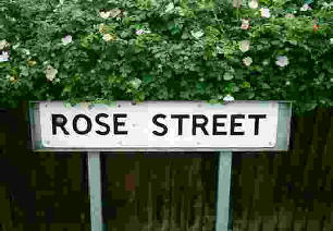 Roses growing behind a Rose Street, street sign