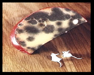 An old piece of Dutch cheese with two tiny mice looking at it.